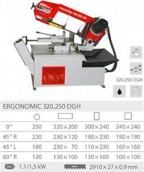 Ergonomic 320.250 DGH