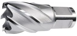 Korunk.vrtak pr.15-1 Weldon /holex/