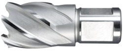 Korunk.vrtak pr.12-1  Weldon